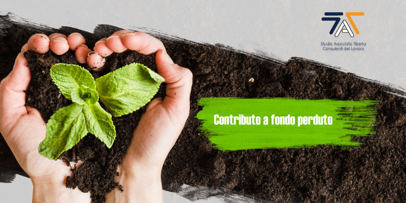 Scopri di più sull'articolo Contributo a fondo perduto, domande dal 15 giugno